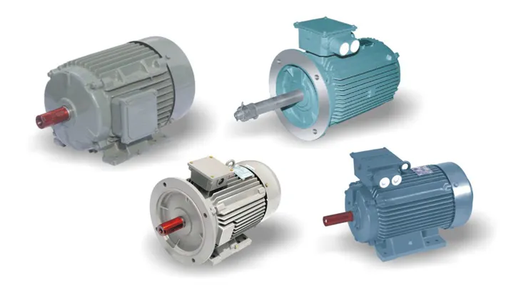 Squirrel Cage Induction Motor